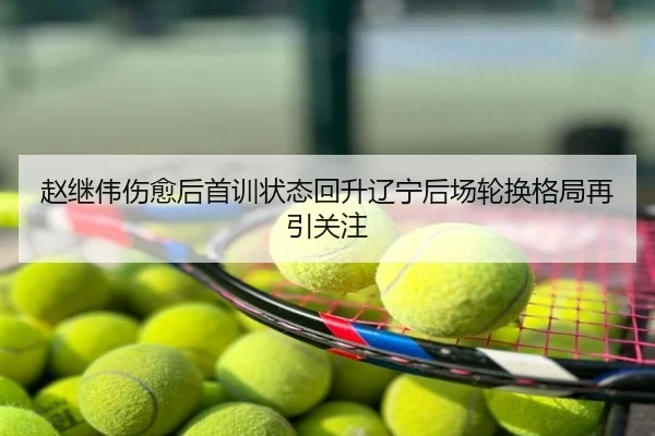赵继伟伤愈后首训状态回升辽宁后场轮换格局再引关注